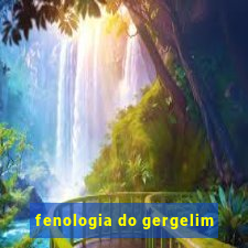 fenologia do gergelim